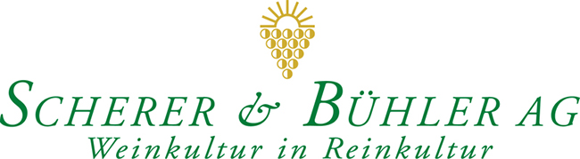 Logo Scherer und Bühler AG, Meggen