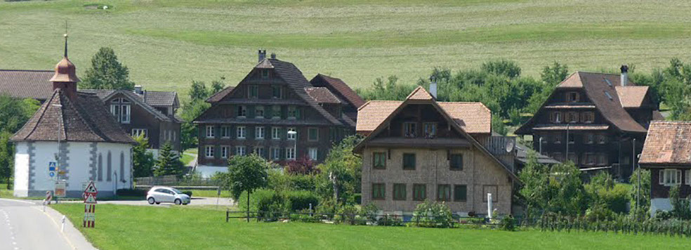 Haltikon